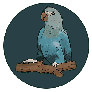 Spixara signature mail 1